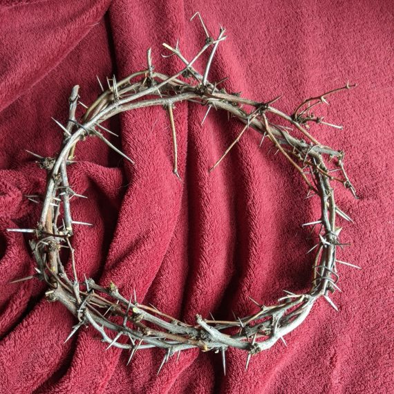 crown of thorns